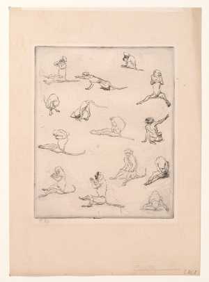 veertien-apen-in-verschillende-houdingen