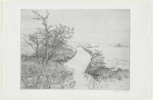 sloot-i-sloot-bij-breukeleveen-blaasbalg