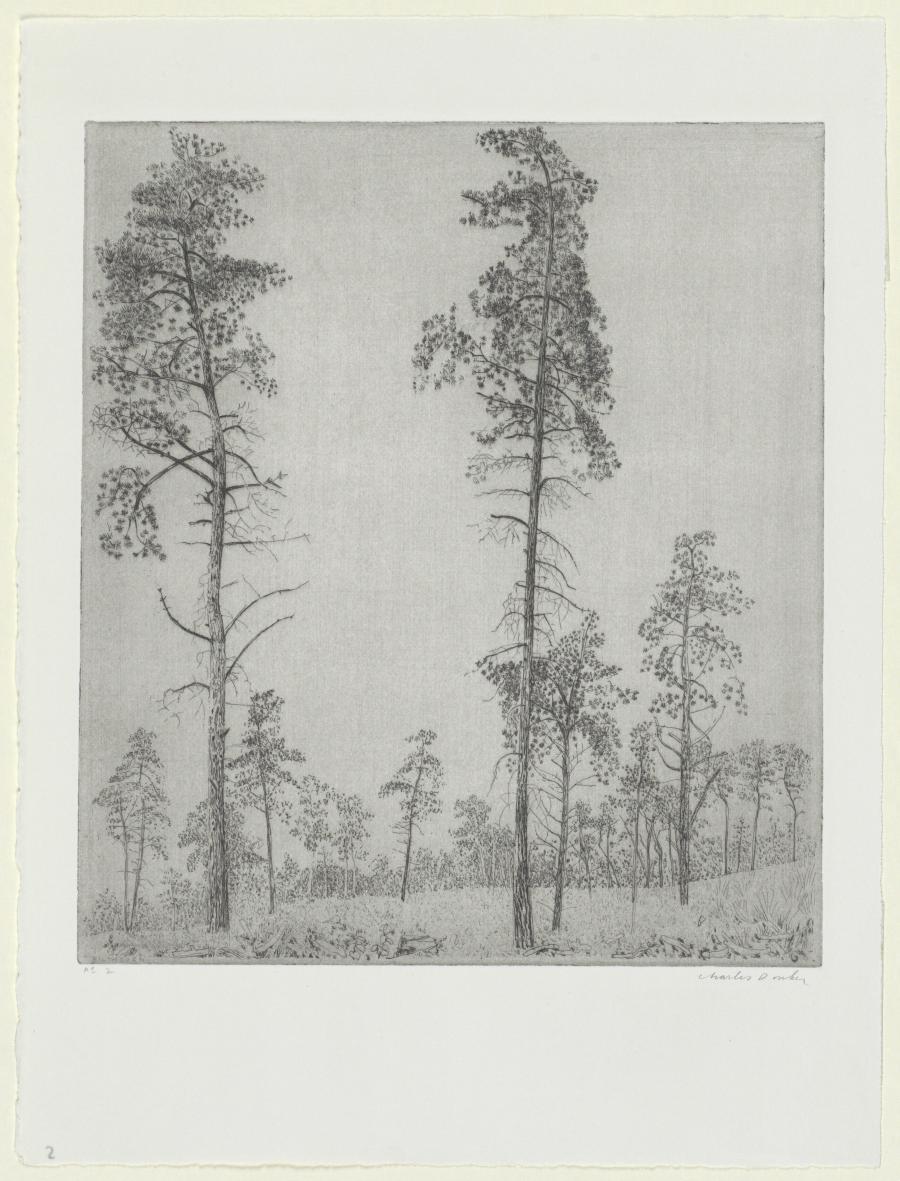 Landschap in de omgeving van Bilthoven / Bos II