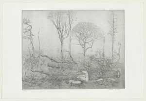 omgehakte-eiken-te-oostbroek-ii