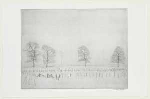 sneeuwlandschap-met-rij-hekjes-op-voorgrond