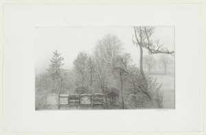 bijenkasten-met-struikgewas-en-bomen