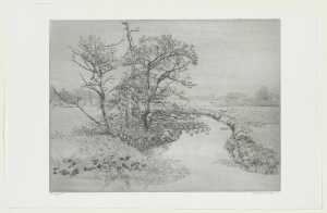 sloot-ii-sloot-bij-breukeleveen-blaasbalg