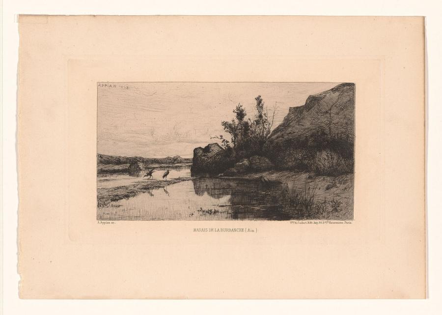 Marais de la Burbanche (Ain)