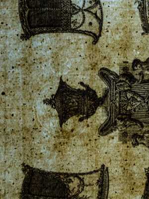 TMSFoto/PK/L 1997-3592 (PK).jpg