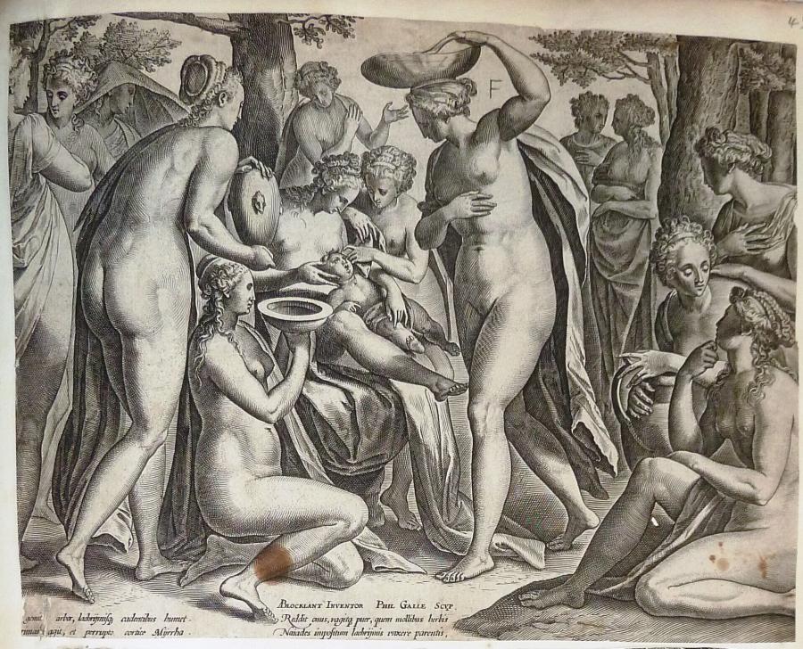 The Care of the Infant Adonis