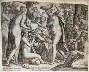 the-care-of-the-infant-adonis