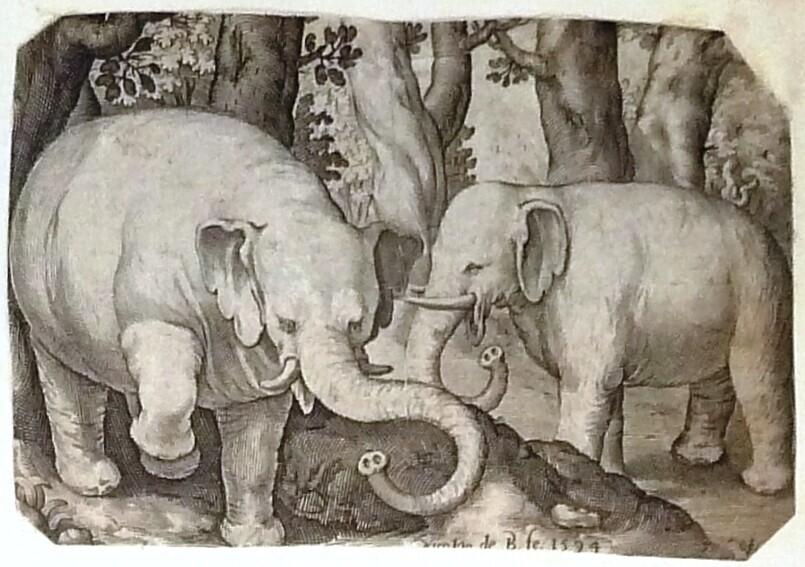 Two Elephants