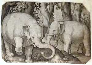 two-elephants