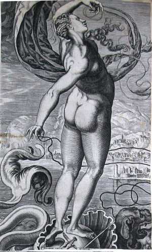 surgi-fortun-the-instability-of-fortune