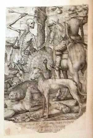 death-and-the-falconer