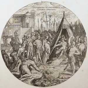 the-abstinence-of-scipo