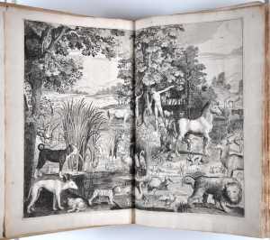 adam-and-eve-in-paradise