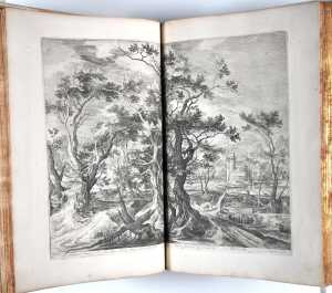 de-man-gods-gedood-door-de-leeuw