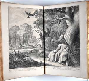 elia-gevoed-door-de-raven