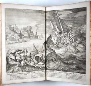 jona-door-de-vis-aan-wal-gespuwd