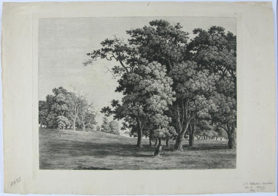 Landscape with Trees