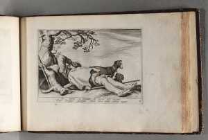 a-sleeping-hunter-with-two-dogs