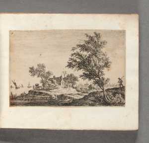 een-reiziger-die-langs-twee-grote-bomen-loopt