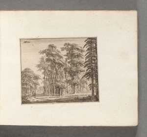 een-bospad-met-links-twee-mannen