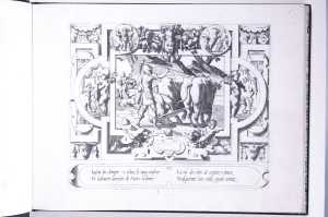 jason-ploughing-with-the-fire-breathing-bulls