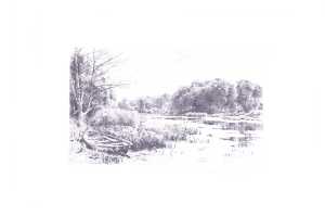 dammen-ved-strandmoellen-vijver-bij-strandmoellen