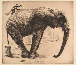 the-largest-and-smallest-mammal
