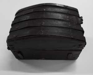 chest