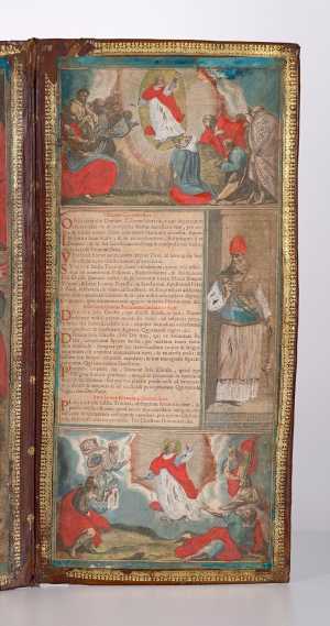 TMSFoto/PK/L 2024-330 (PK) rechts_JT20250224.jpg