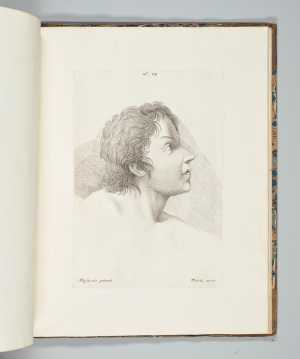 hoofd-van-de-zoon-van-theophilus-uit-the-life-of-the-celebrated-painter-masaccio
