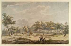 duinlandschap-ten-westen-van-haarlem