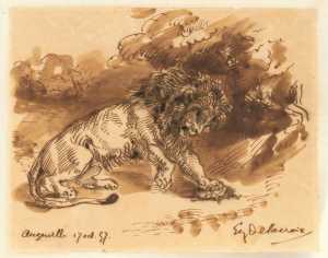 leeuw-spelend-met-een-schildpad