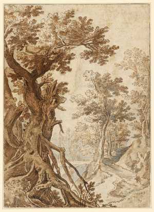 forest-landscape-with-an-old-tree