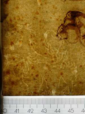 TMSFoto/PK/MB 1691 (PK)_3.jpg