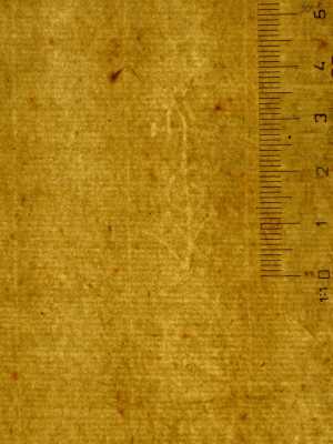 TMSFoto/PK/MB 1696 (PK)_1.jpg