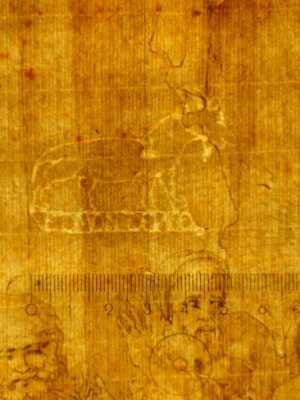 TMSFoto/PK/MB 1699 (PK)_1.jpg