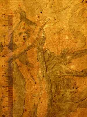 TMSFoto/PK/MB 1704 recto (PK)_1.jpg