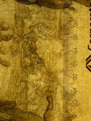 TMSFoto/PK/MB 1711 (PK)_2.jpg