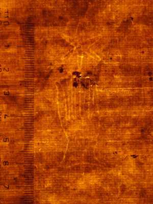 TMSFoto/PK/MB 1731 (PK)_1.jpg