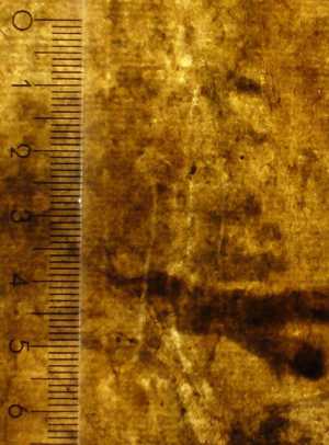 TMSFoto/PK/MB 1771 (PK)_3.jpg