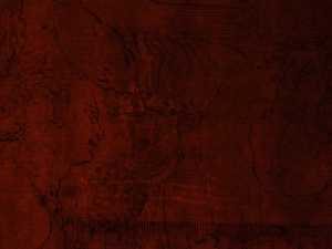 TMSFoto/PK/MB 1782 (PK)_1.jpg