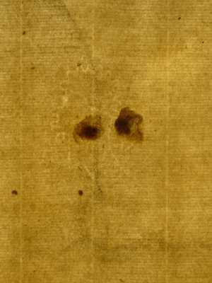 TMSFoto/PK/MB 1787 (PK)_1.jpg