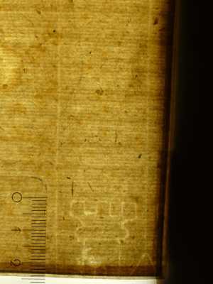 TMSFoto/PK/MB 1788 (PK)_2.jpg