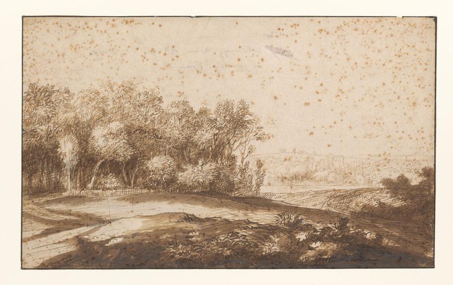 Heuvellandschap met bos en rivier