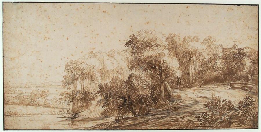 Landweg met bomen langs het water