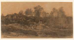 gezicht-in-het-bos-van-fontainebleau