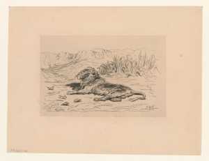 lion-lying-in-landscape
