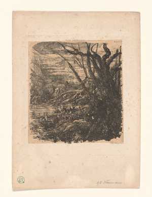 het-meer-in-de-bergen