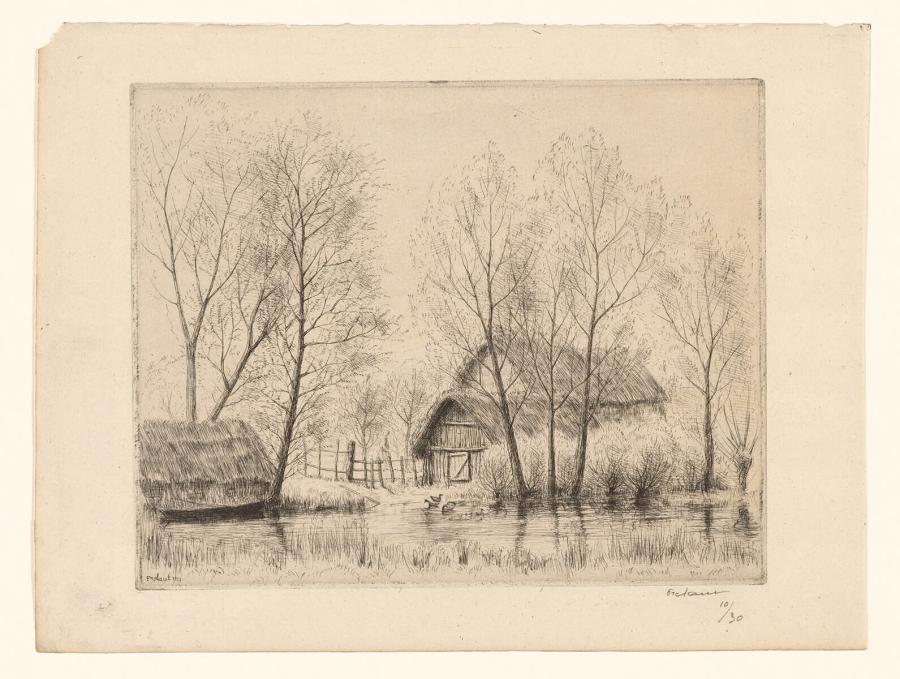 Poel met eenden bij een boerderij