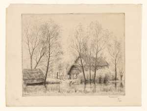 poel-met-eenden-bij-een-boerderij